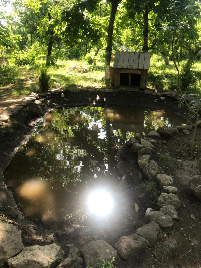 Гостевой дом Guests House Qotukner Karbi Экстерьер фото